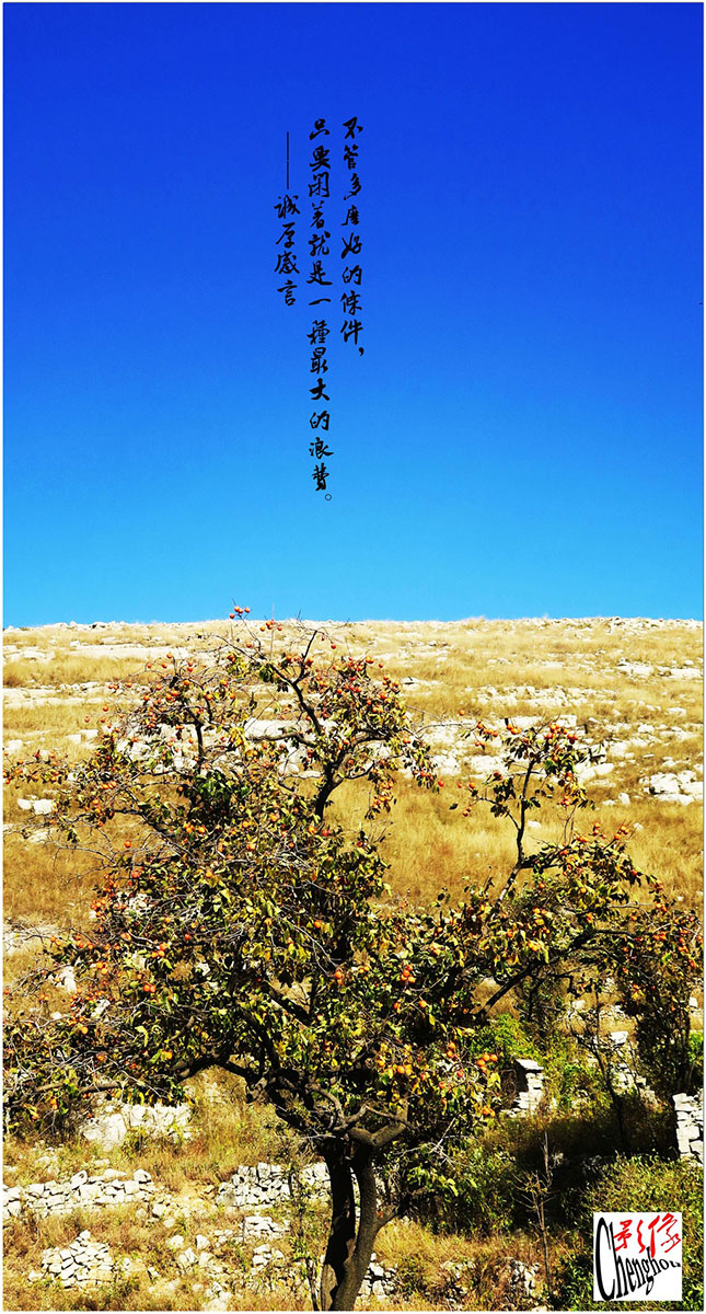 不管多么好的条件，只要闲着就是一种巨大的浪费。10.jpg