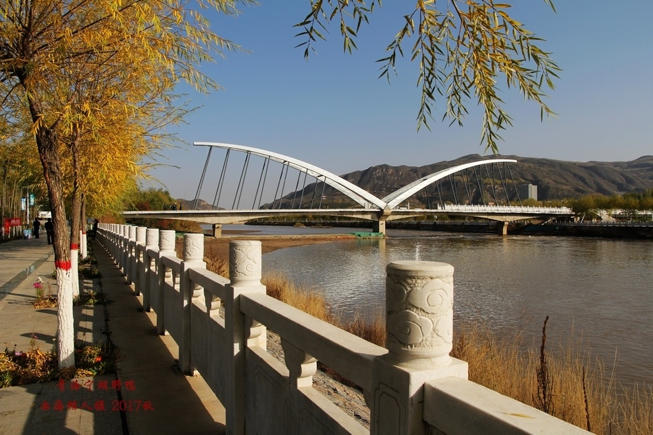 宁湖野鸭27.jpg