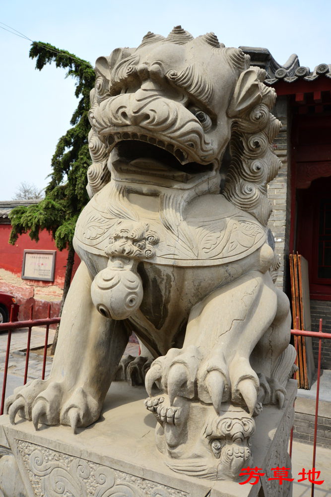 DSC_3442.jpg