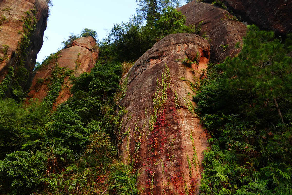 L5980599.JPG