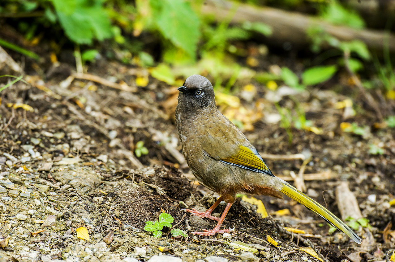 DSC_7122-2副本.jpg
