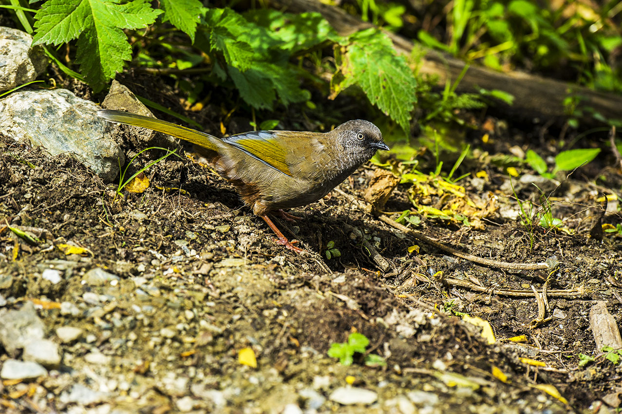 DSC_7145-2副本.jpg