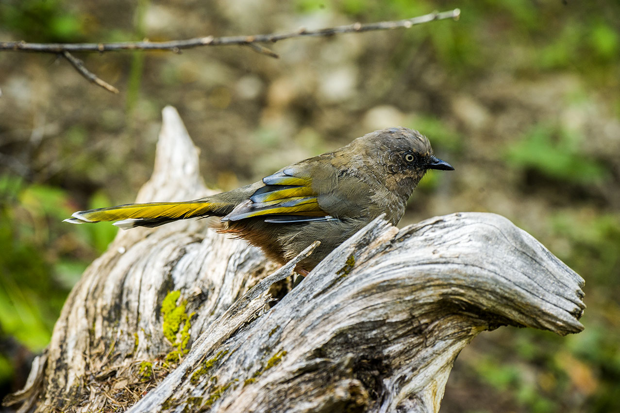 DSC_7155-2副本.jpg