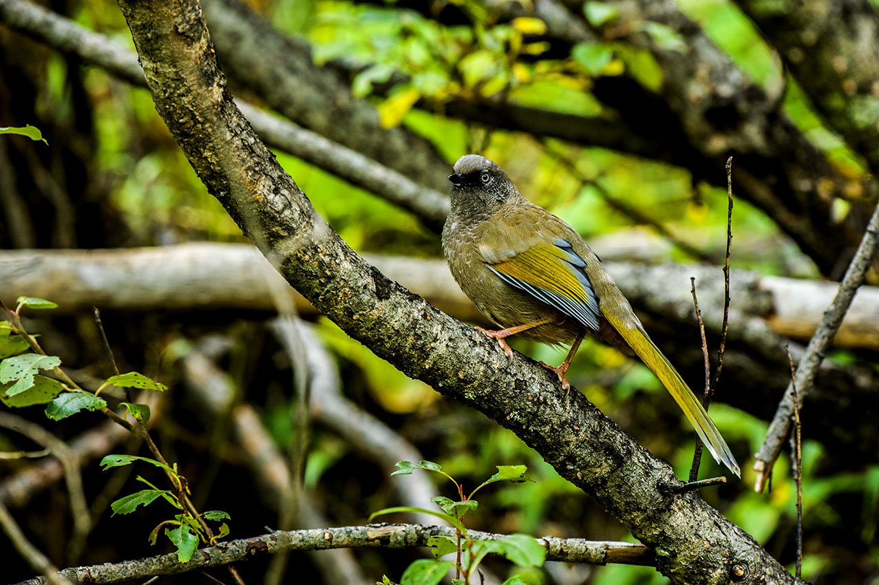 DSC_7167-2副本.jpg