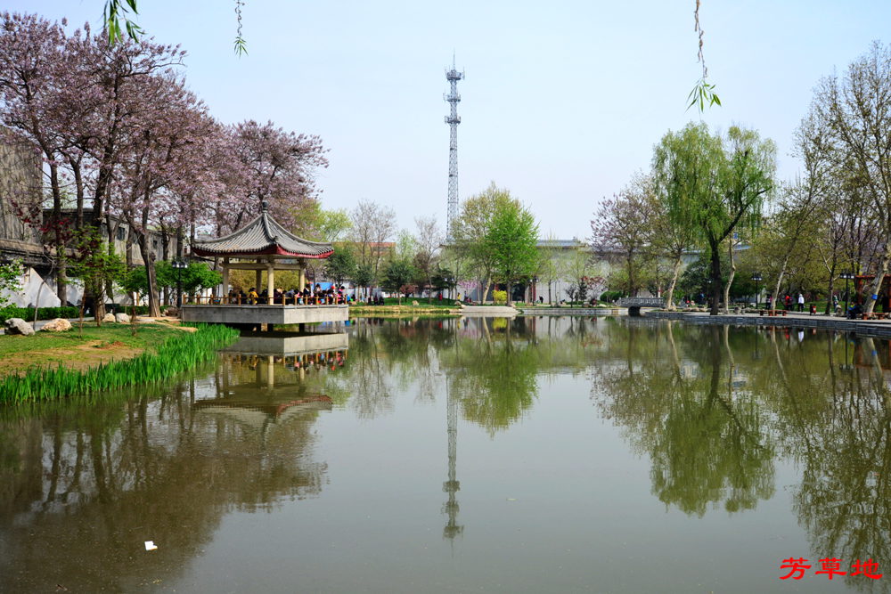 DSC_3171.jpg