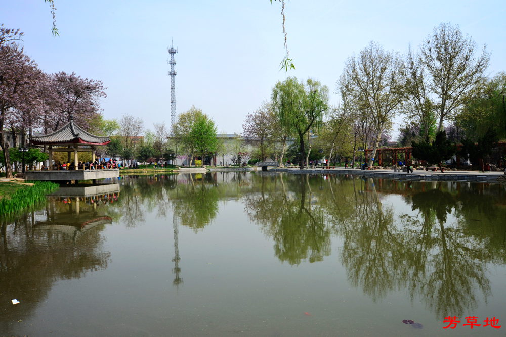 DSC_3172.jpg