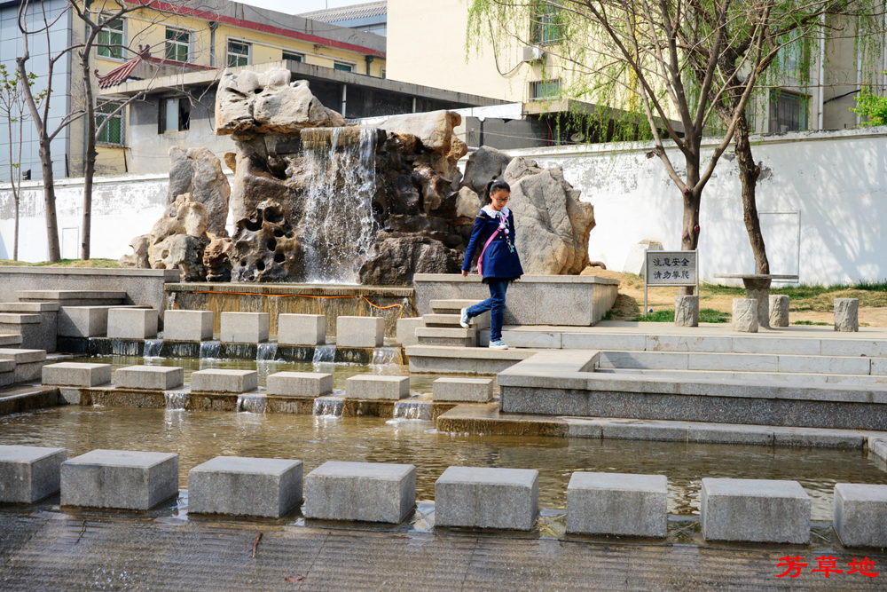DSC_3186.jpg