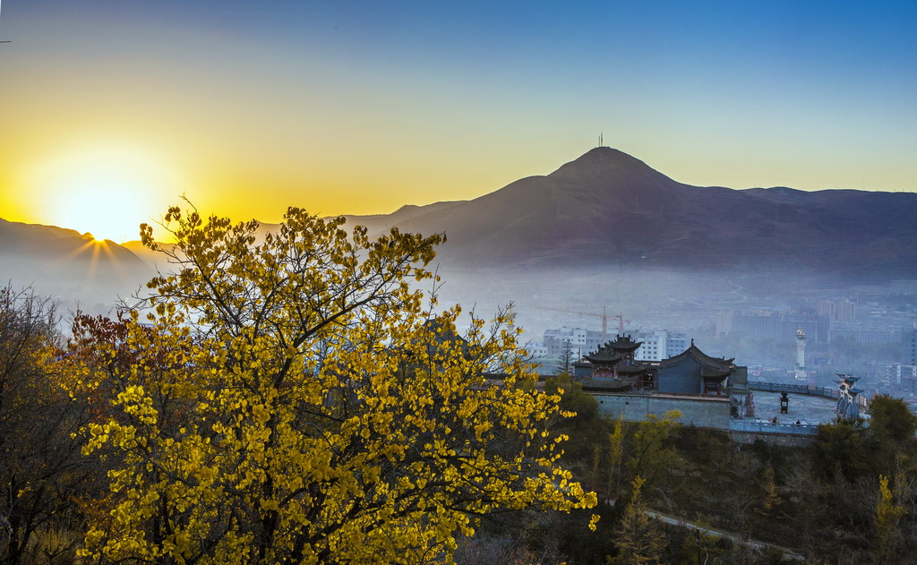 8R5A9138_调整大小.jpg