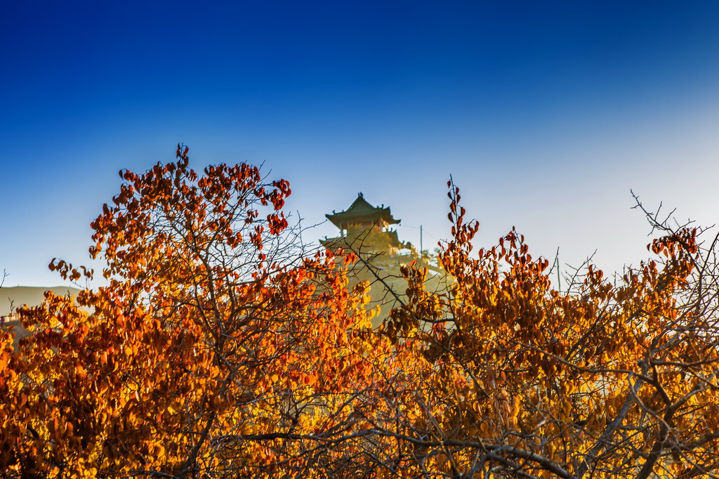 8R5A9209_调整大小.jpg