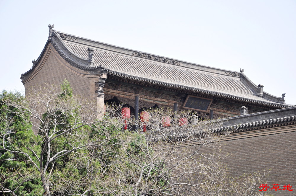 DSC_9050.jpg