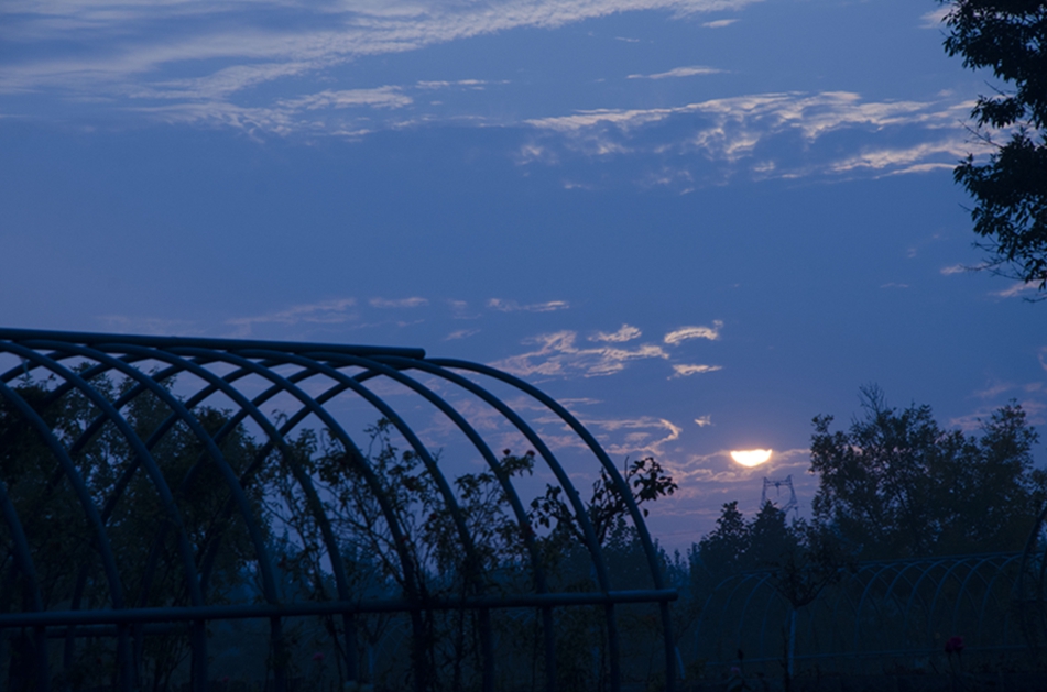 AA0_2973.JPG