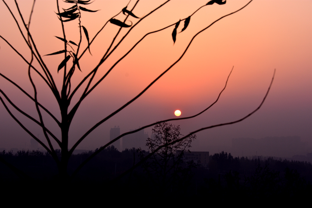 DSC_0333.JPG