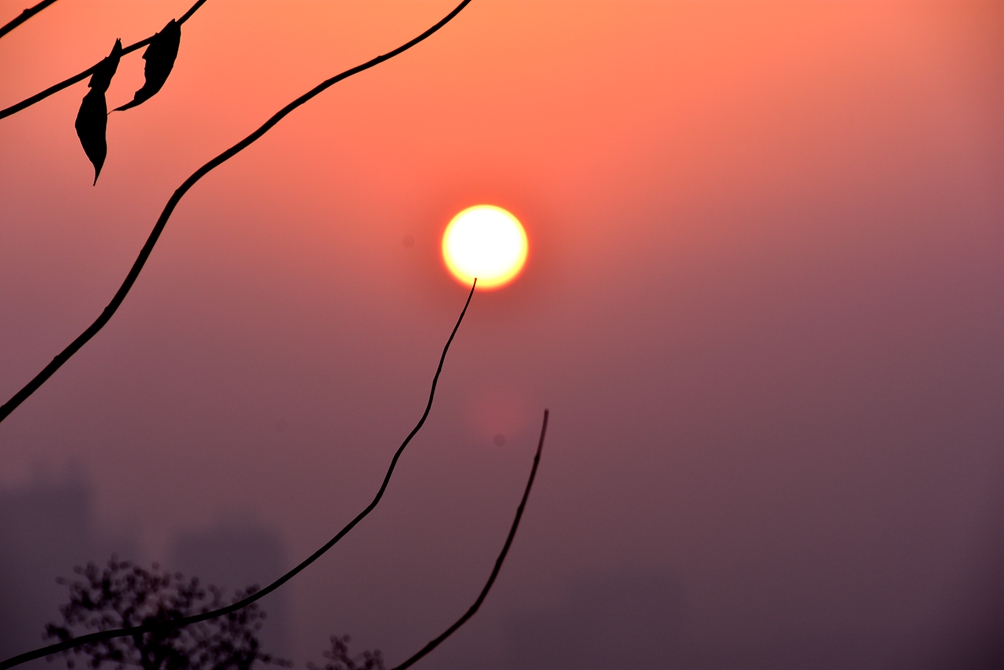 DSC_0336.JPG