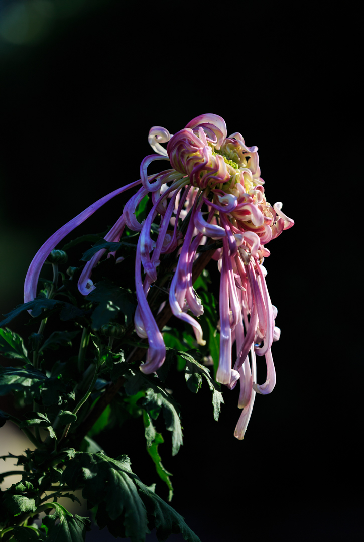 2I9A7969.jpg