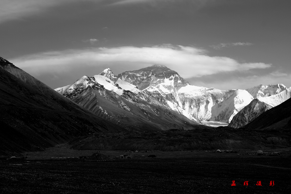 _MG_1441.JPG