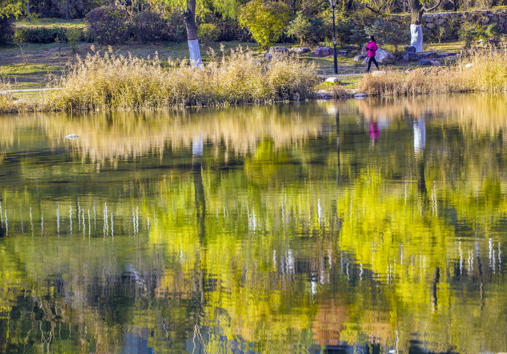 IMG_3137_调整大小.jpg