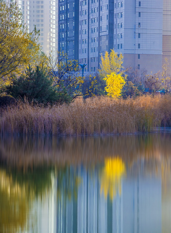 IMG_3048_调整大小.jpg