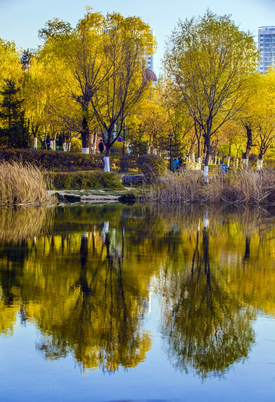 IMG_3063_调整大小.jpg