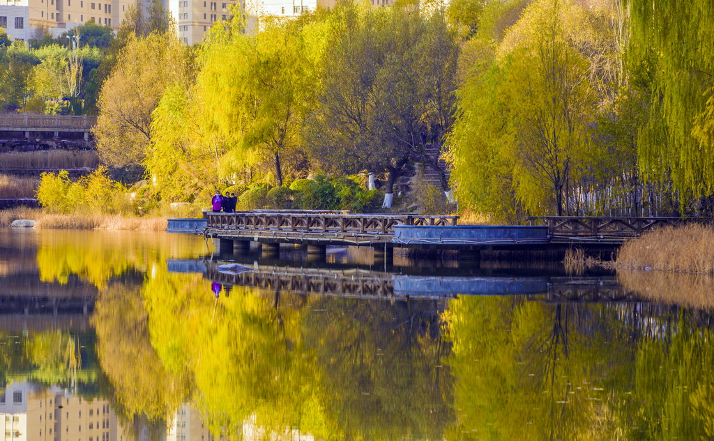 IMG_3086_调整大小.jpg