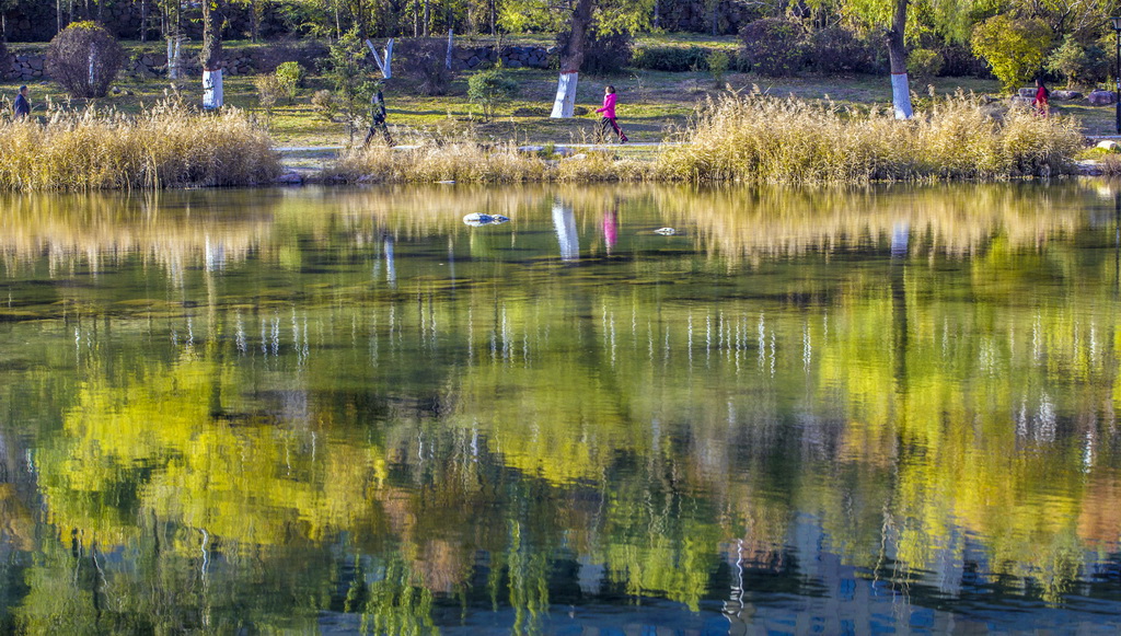 IMG_3118_调整大小.jpg