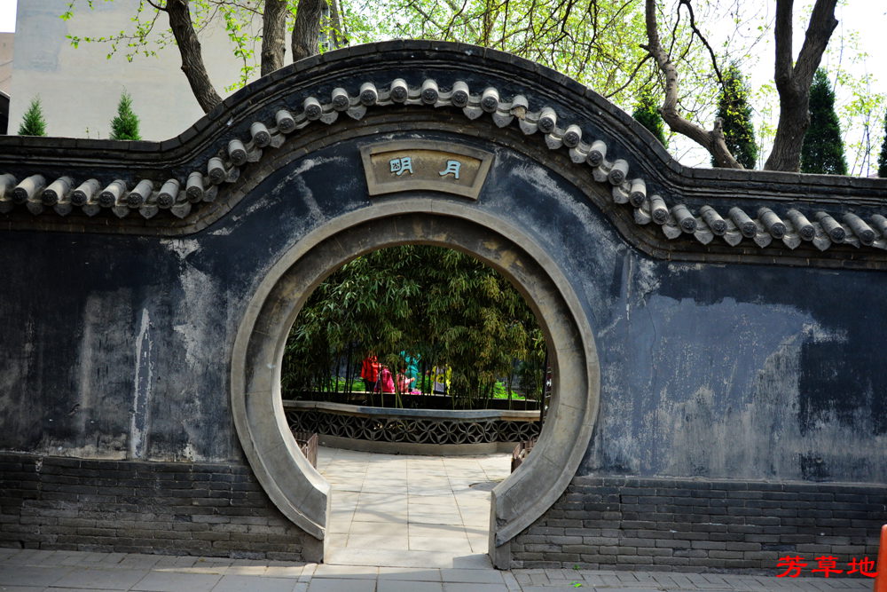 DSC_3262.jpg