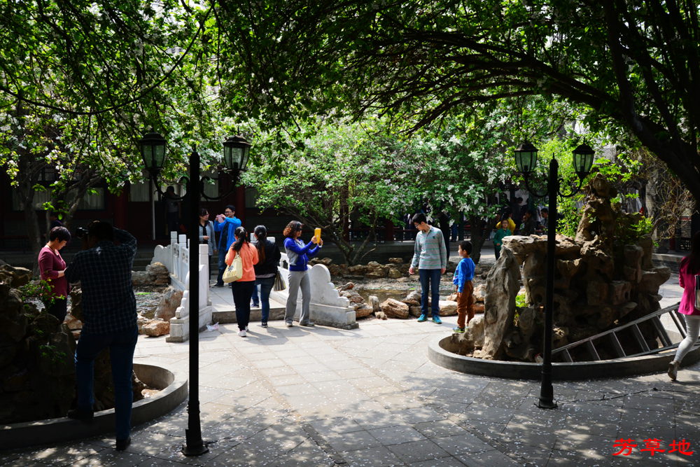 后DSC_3335.jpg