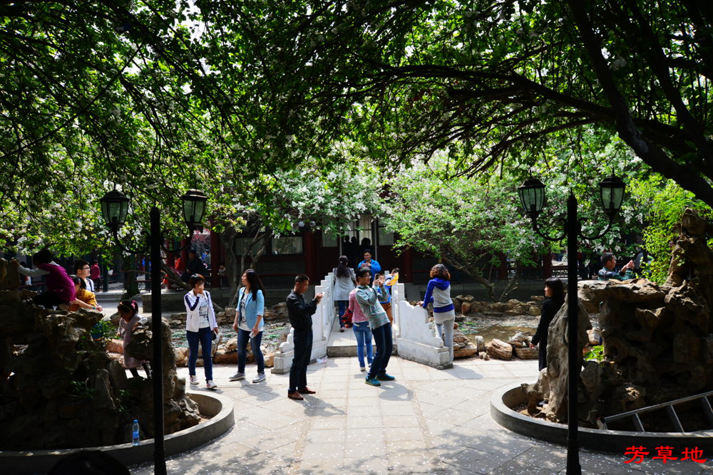 后DSC_3339.jpg