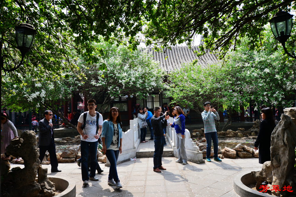 后DSC_3340.jpg