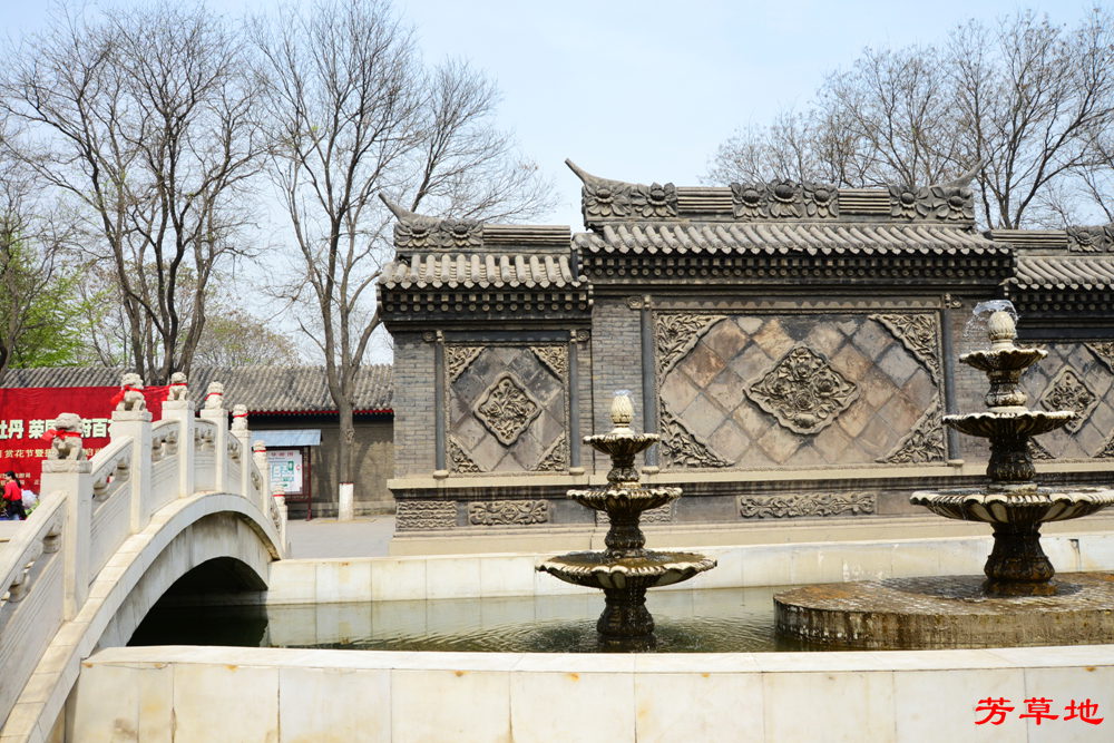 DSC_3405.jpg