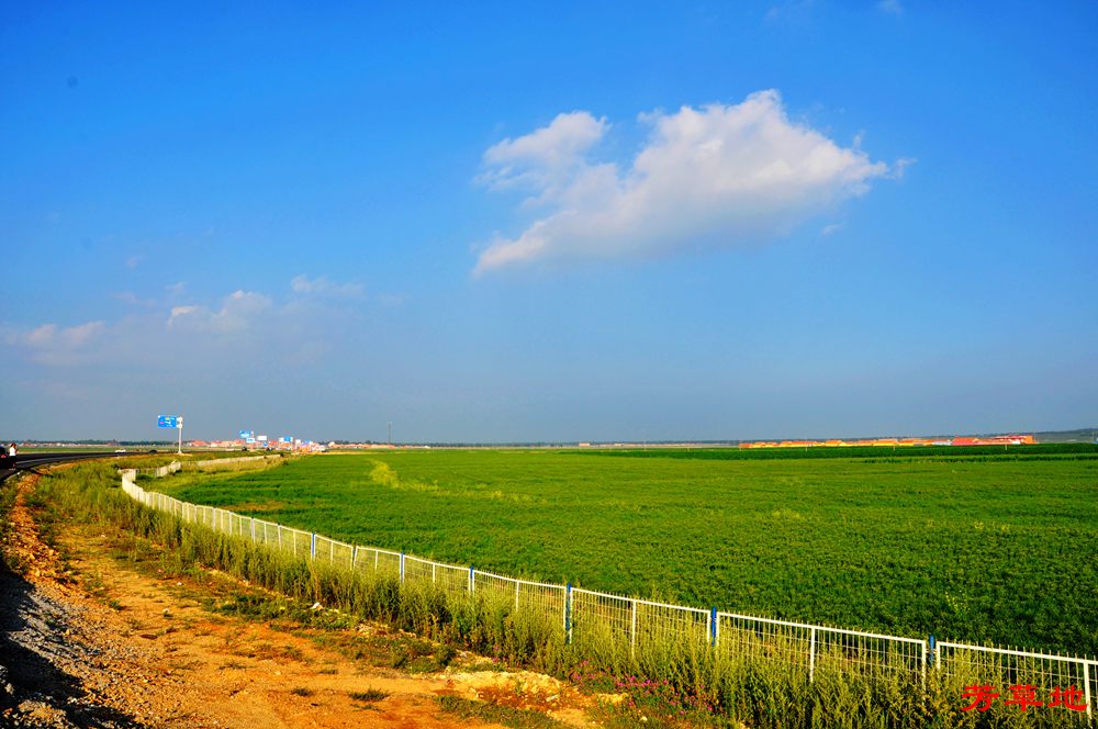 1=DSC_0147.jpg