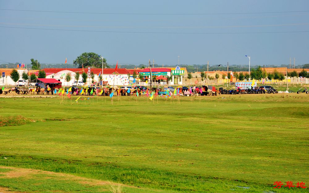 DSC_0132.jpg