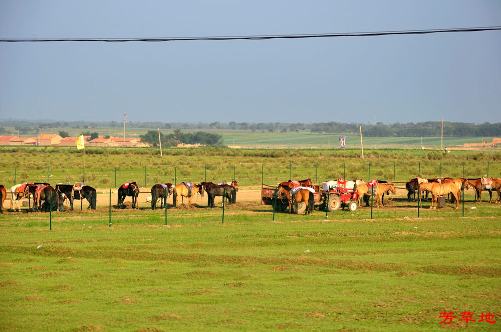 DSC_0134.jpg