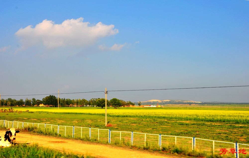DSC_0137.jpg
