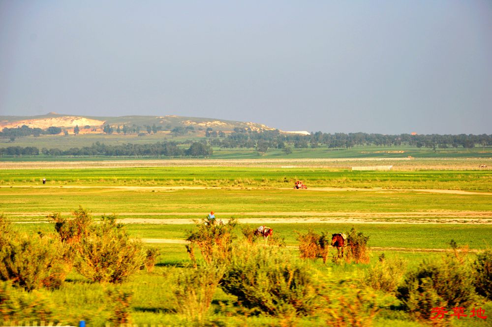 DSC_0141.jpg