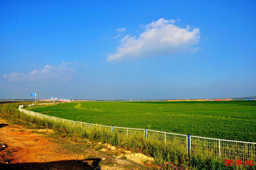 DSC_0146.jpg
