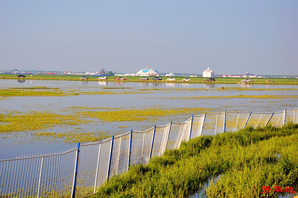 1=DSC_0153.jpg