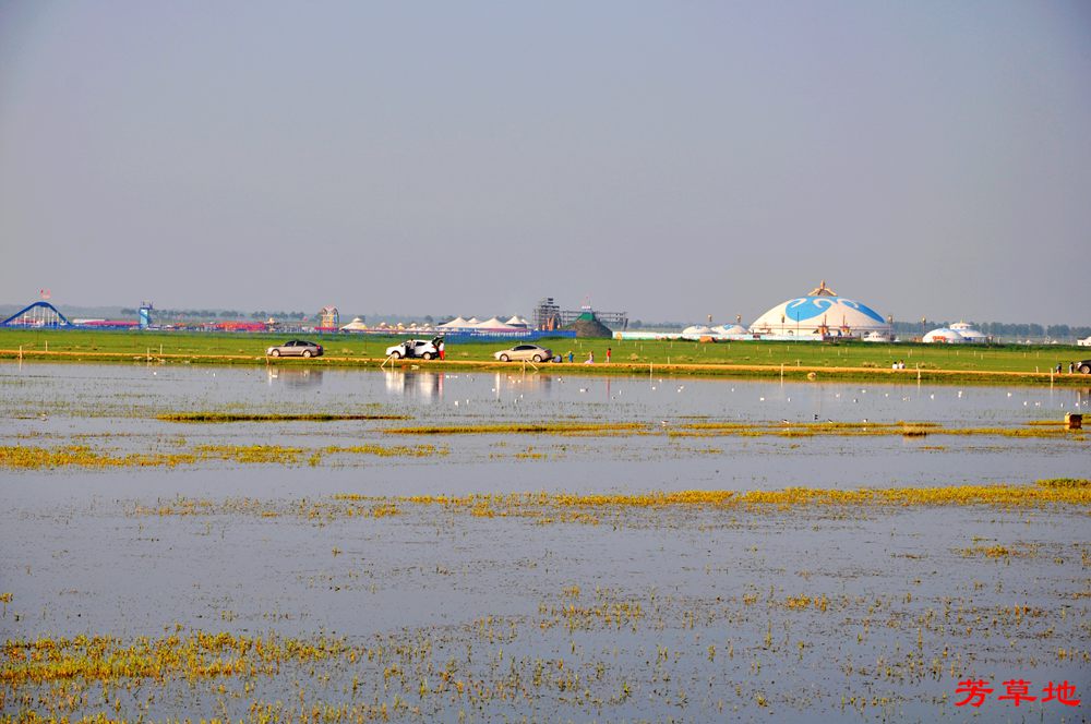 DSC_0161.jpg