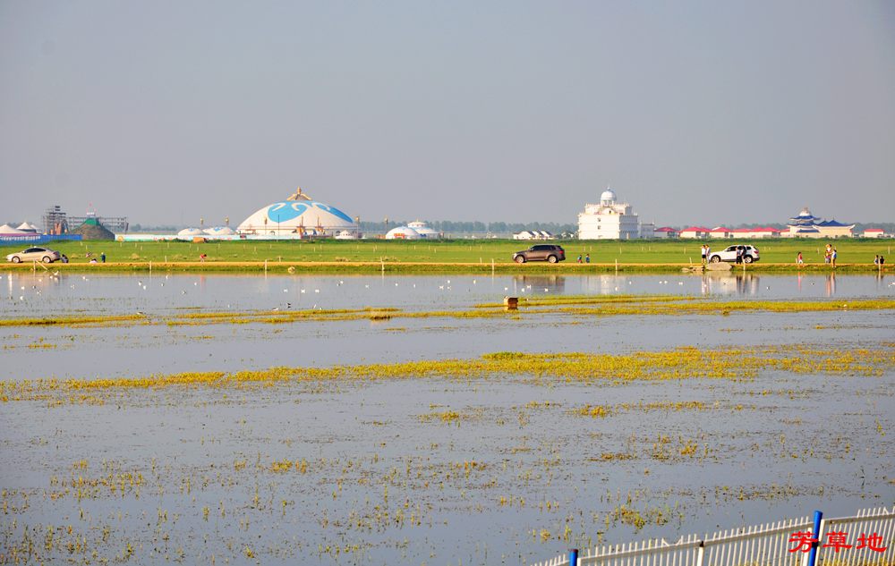 DSC_0163.jpg