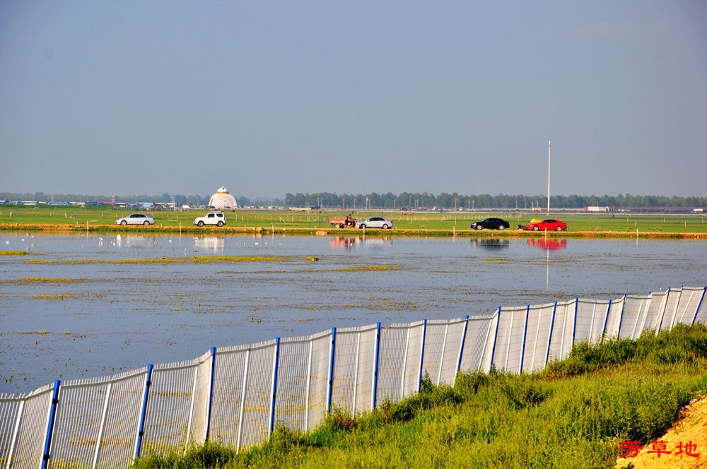 DSC_0165.jpg