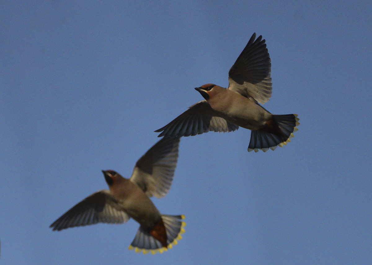 DSC_5460_B.jpg