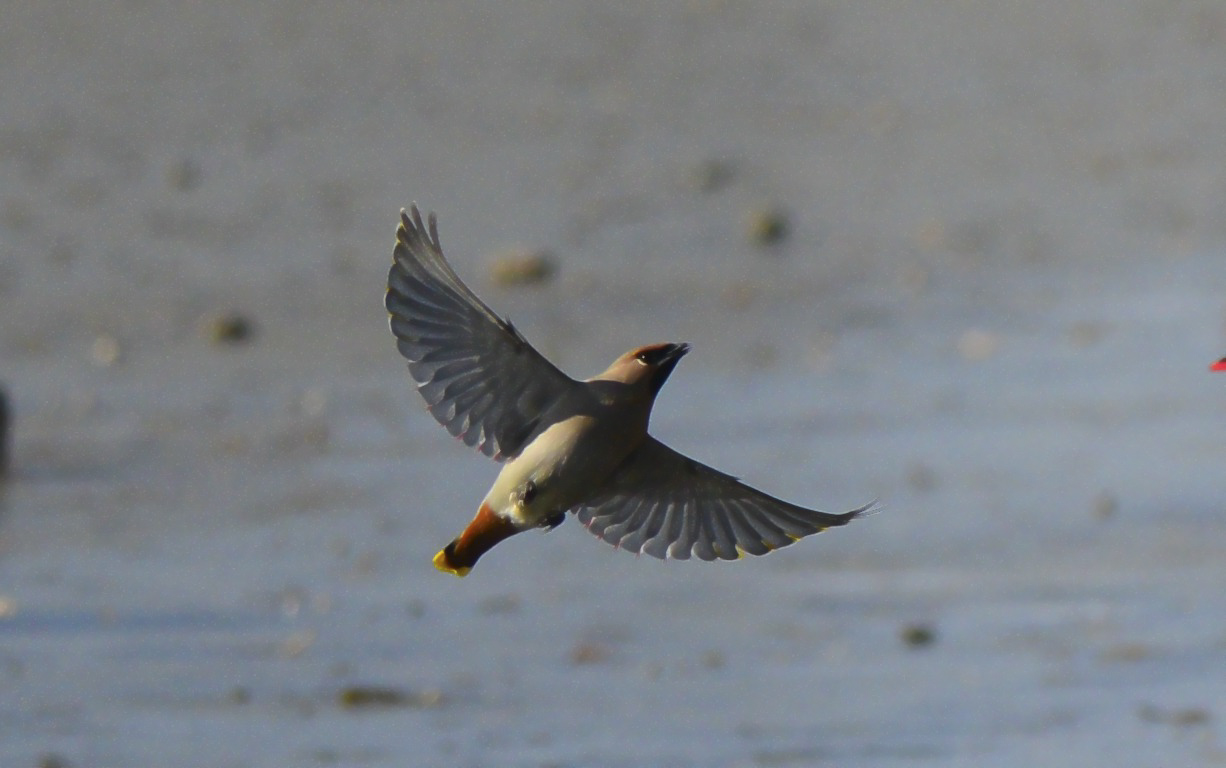 DSC_6793_副本.jpg