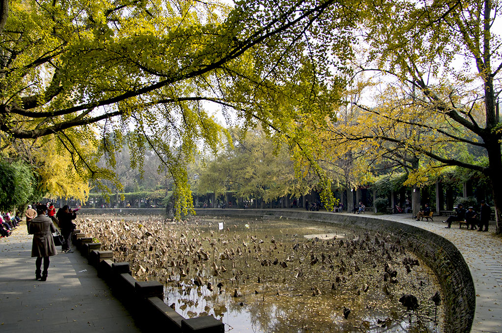 IMGP6946副本.jpg