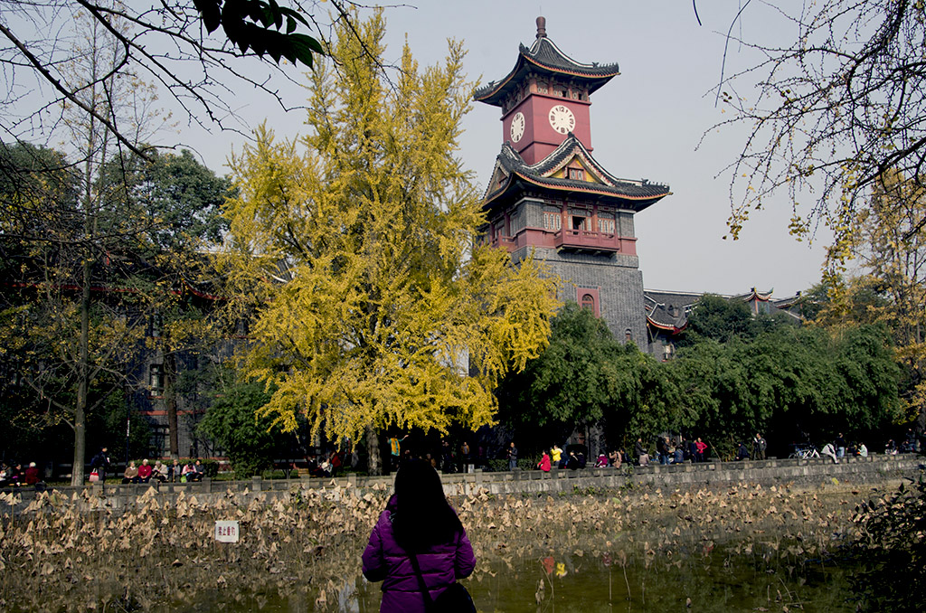 IMGP6952副本.jpg