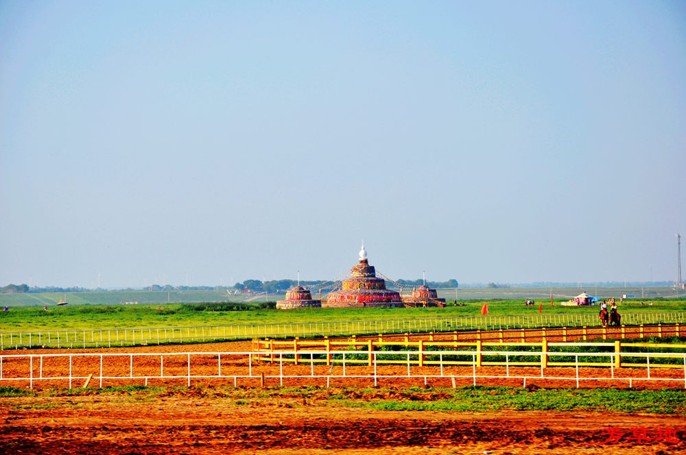 DSC_0212.jpg