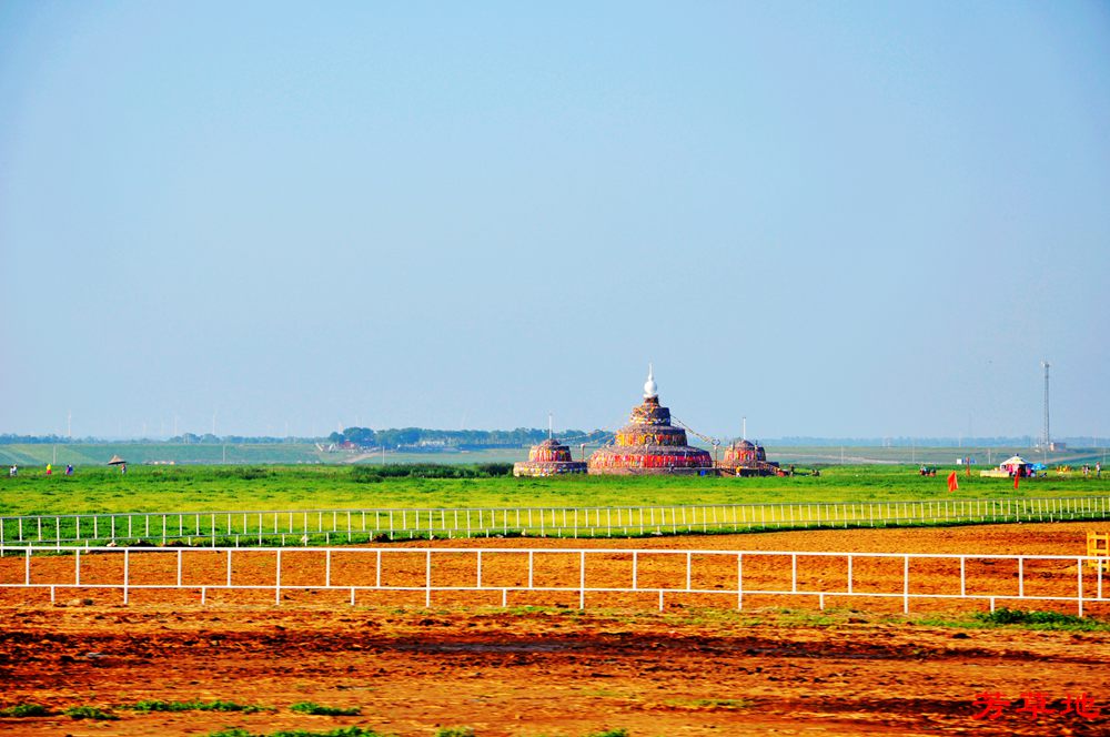 DSC_0213.jpg