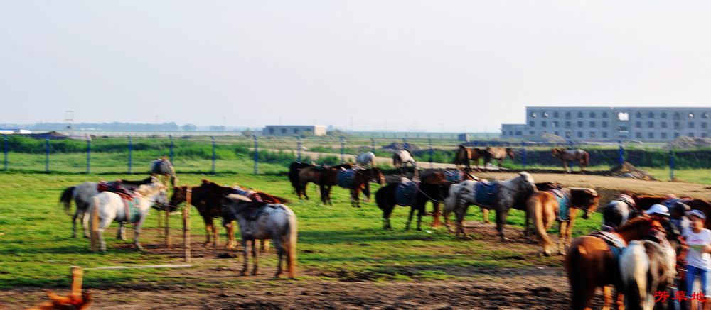 DSC_0219.jpg