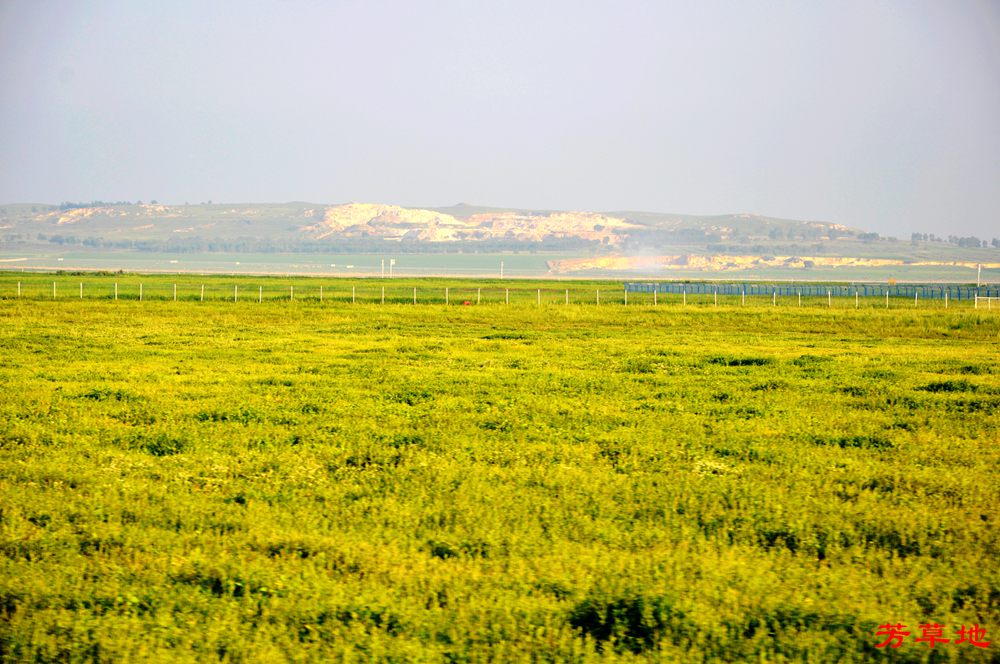 DSC_0224.jpg