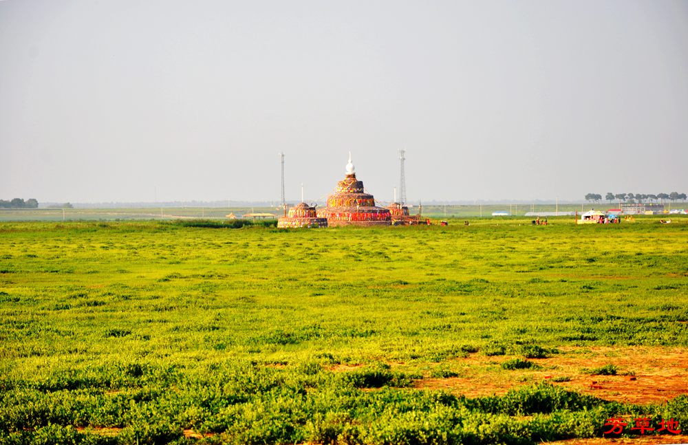 DSC_0225.jpg