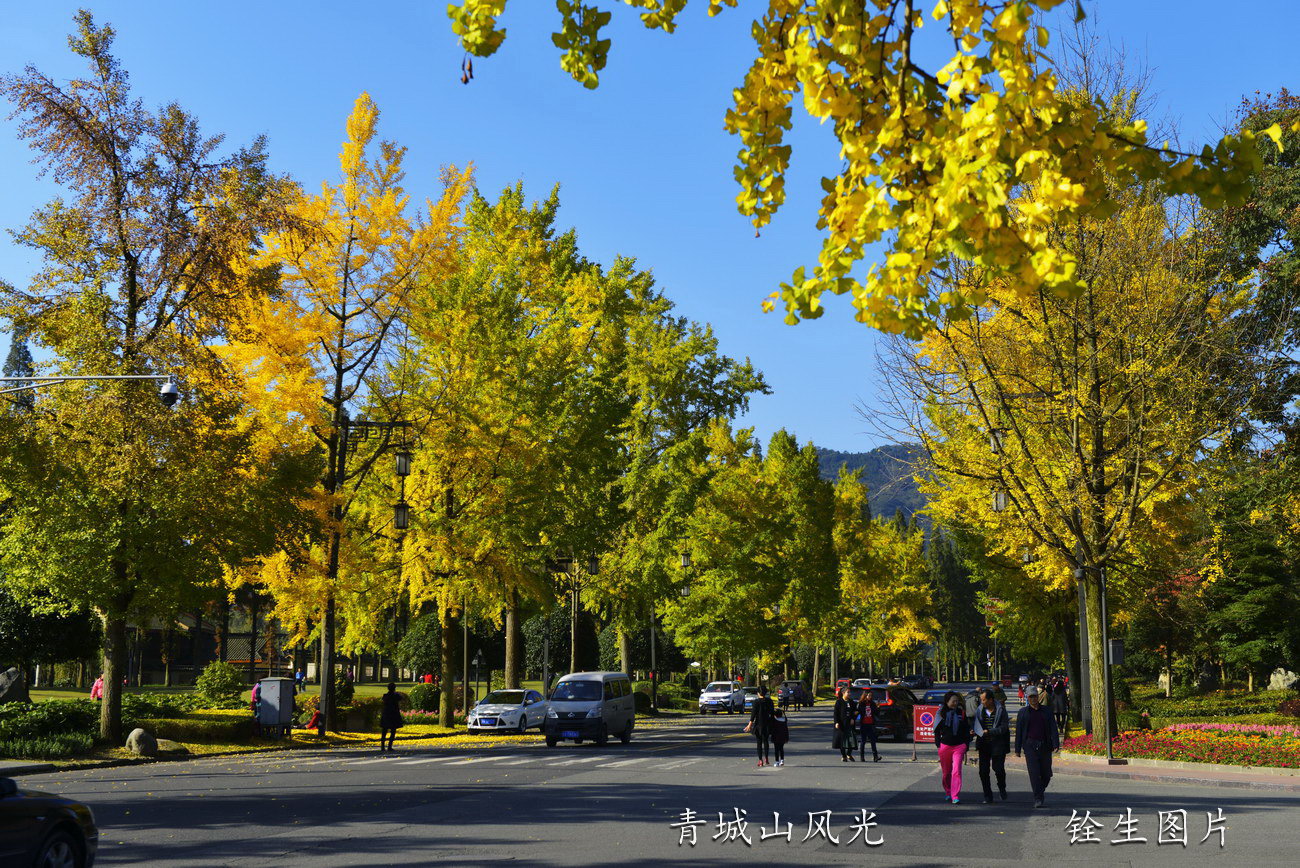 青城山旅游大道风光_DSC3371 (2).jpg