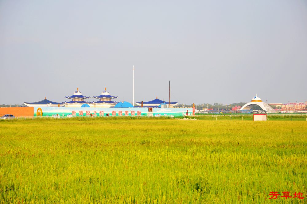 DSC_0249.jpg